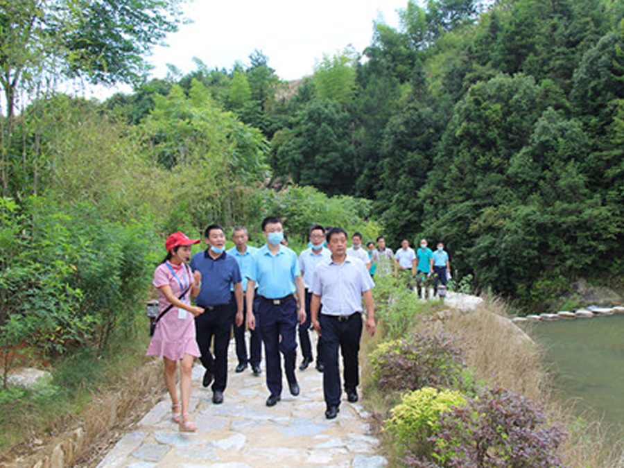 鄂旅投咸寧集團與九宮山管委會聯(lián)合組織黨建調(diào)研活動，助力鄉(xiāng)村振興發(fā)展