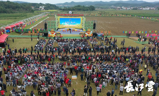 9月21日,咸寧市咸安區(qū)高橋蘿卜小鎮(zhèn)百畝草地上舉行了“慶豐收·迎小康”第三屆中國農(nóng)民豐收節(jié)湖北分會場咸寧主會場慶?;顒?,全市各界農(nóng)民代表相聚白水畈的美麗田野,分享豐收的喜悅,慶祝屬于自己的節(jié)日。 開幕式上舉行了精彩的文藝演出,演出在舞蹈《慶豐收》中拉開序幕,歌舞《錦繡小康》呈現(xiàn)出咸寧各地欣欣向榮、脫貧致富奔小康的幸福場景。網(wǎng)紅歌曲《你莫走》、舞蹈《慶豐收》、歌舞《一起幸?!?,一個個精彩的節(jié)目輪番上演,博得現(xiàn)場觀眾陣陣掌聲。 開幕活動現(xiàn)場還舉行了頒獎儀式,第二屆“美麗中國、鄉(xiāng)村振興”全國農(nóng)民詩歌邀請賽獲獎組織和個人,全市農(nóng)村人居環(huán)境整治示范村,省級農(nóng)業(yè)產(chǎn)業(yè)化工作先進集體和先進個人上臺領(lǐng)獎?,F(xiàn)場還舉行了鄂南民俗展演、農(nóng)民趣味運動會、扶貧農(nóng)產(chǎn)品以及咸寧特色農(nóng)產(chǎn)品展銷等豐富多彩的活動?;鸨娜藲猓屧趫龅恼逛N商賺得是盆滿缽滿。 咸寧市咸安區(qū)鑫達種養(yǎng)專業(yè)合作社理事長萬永輝:今年家里的香菇都豐收了,一上午我就賣出了一萬多元,我們合作社采取的是“合作社+農(nóng)戶”的模式,也帶領(lǐng)了20多戶貧困戶脫貧了。 咸寧市致遠(yuǎn)種植專業(yè)合作社理事長 吳海兵:我們今年是真真正正地豐收了,我們生姜的價格足足翻了三倍,跟著我們一起的貧困戶也平均增收了3000元左右。 而這一系列的活動,都是在蘿卜小鎮(zhèn)的草地上進行的,草地作舞臺、草地搞展示、草地上比賽等等,這數(shù)百畝草地,此時此刻成為了咸寧農(nóng)民們慶祝豐收的歡樂場。 咸寧市咸安區(qū)高橋鎮(zhèn)黨委書記王順榮:今年的湖北分會場在我們高橋蘿卜小鎮(zhèn)舉辦,我感到很榮幸,我們從一顆蘿卜做起,以白水畈蘿卜為核心品牌,打造白水畈"我家菜園"蔬菜基地及旅游觀光體驗中心,發(fā)展綠色農(nóng)業(yè)、生態(tài)旅游,增加產(chǎn)業(yè)開發(fā)的綜合效益,創(chuàng)建蘿卜特色小鎮(zhèn),走出了一條農(nóng)業(yè)、旅游相結(jié)合的新路,推動高橋鎮(zhèn)一二三產(chǎn)業(yè)融合發(fā)展。 鄉(xiāng)親們說,這在以前是想都不敢想的,高橋鎮(zhèn)蝸居山里,太偏遠(yuǎn)又沒有資源優(yōu)勢,想發(fā)展太難。而現(xiàn)在這一切的悄然改變,得益于2017年10月13日,咸安區(qū)政府與鄂旅投公司正式簽署的《131軍旅小鎮(zhèn)+白水畈田園綜合體旅游開發(fā)投資合作協(xié)議》,鄂旅投公司將投資30億元,在高橋鎮(zhèn)打造131軍旅小鎮(zhèn)和白水畈田園綜合體旅游開發(fā)項目。項目共分為131軍旅小鎮(zhèn)、白水畈美麗鄉(xiāng)村、特色農(nóng)業(yè)示范、旅游綜合體四大板塊,打造旅游綜合服務(wù)區(qū)、澄水洞軍事展示區(qū)、青少年國防教育基地、鐵血軍事樂園區(qū)、戰(zhàn)狼訓(xùn)練基地、美麗村灣民俗區(qū)、四季瓜果示范區(qū)、農(nóng)耕文化展示區(qū)、特色商業(yè)街區(qū)和康養(yǎng)度假區(qū)十大功能區(qū)。 咸寧市咸安區(qū)高橋鎮(zhèn)黨委書記王順榮:我們引進鄂旅投,打造蘿卜小鎮(zhèn),目前建設(shè)有蘿卜小鎮(zhèn)科普館、蘿卜鄉(xiāng)學(xué)院、蘿卜酒店等休閑旅游項目,十一馬上到了,也歡迎廣大游客前來游玩。 今年是決勝全面建成小康社會、決戰(zhàn)脫貧攻堅之年。咸寧市本著"儉樸、祥和、歡樂,農(nóng)民參與,農(nóng)民唱主角"的辦節(jié)思路,而此屆中國農(nóng)民豐收節(jié)辦節(jié)費用也是倍減。 農(nóng)為邦本,本固邦寧。今年,面對重大疫情和特大洪澇災(zāi)害,咸寧市扎實做好“六穩(wěn)”工作、落實“六?!比蝿?wù),克服重重困難,推動農(nóng)業(yè)實現(xiàn)持續(xù)平穩(wěn)發(fā)展,形成了茶葉、油茶、中藥材等12個特色農(nóng)業(yè)主導(dǎo)產(chǎn)業(yè),“全國一村一品示范村鎮(zhèn)”發(fā)展到14家,國家級、省級農(nóng)業(yè)產(chǎn)業(yè)化龍頭企業(yè)達到55家。尤其是糧食產(chǎn)量預(yù)計達118萬噸、蔬菜產(chǎn)量預(yù)計達260萬噸,生豬預(yù)計出欄183.52萬頭,農(nóng)業(yè)生產(chǎn)再獲豐收,糧食安全有效保障,讓農(nóng)民的腰包更鼓、家園更美、生活更甜,為加快實施鄉(xiāng)村振興戰(zhàn)略、推動咸寧高質(zhì)量發(fā)展提供堅實保障。